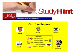 hint - 5 senses